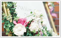 belta salone [ �٥륿�������� ] 